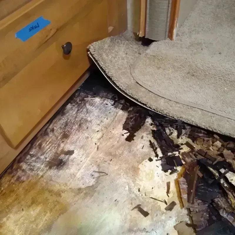 Wood Floor Water Damage in Kewaskum, WI